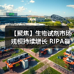 【聚焦】生物试剂市场规模持续增长 RIPA裂解液行业得到快速发展(图3) 【聚焦】生物试剂市场规模持续增长 RIPA裂解液行业得到快速发展(图3)