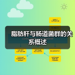 脂肪肝与肠道菌群的关系概述(图2) 脂肪肝与肠道菌群的关系概述(图2)