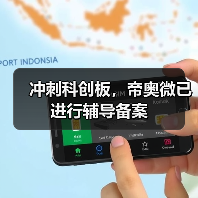 冲刺科创板,帝奥微已进行辅导备案(图2) 冲刺科创板,帝奥微已进行辅导备案(图2)