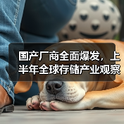 国产厂商全面爆发,上半年全球存储产业观察重点(图3) 国产厂商全面爆发,上半年全球存储产业观察重点(图3)