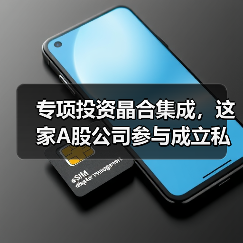专项投资晶合集成,这家A股公司参与成立私募基金合肥存鑫(图2) 专项投资晶合集成,这家A股公司参与成立私募基金合肥存鑫(图2)