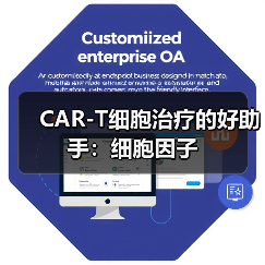 CAR-T细胞治疗的好助手:细胞因子(图1) CAR-T细胞治疗的好助手:细胞因子(图1)