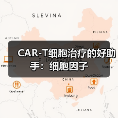 CAR-T细胞治疗的好助手:细胞因子(图3) CAR-T细胞治疗的好助手:细胞因子(图3)