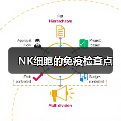 NK细胞的免疫检查点(图2) NK细胞的免疫检查点(图2)