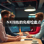 NK细胞的免疫检查点(图3) NK细胞的免疫检查点(图3)