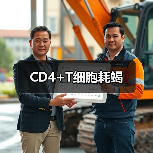 CD4+T细胞耗竭(图1) CD4+T细胞耗竭(图1)