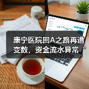 康宁医院回A之路再遭变数,资金流水异常“吓跑”普华永道(图2) 康宁医院回A之路再遭变数,资金流水异常“吓跑”普华永道(图2)