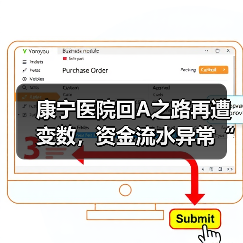 康宁医院回A之路再遭变数,资金流水异常“吓跑”普华永道(图4) 康宁医院回A之路再遭变数,资金流水异常“吓跑”普华永道(图4)