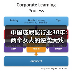 中国玻尿酸行业30年：两个女人的逆袭大戏（图3）