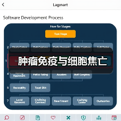 肿瘤免疫与细胞焦亡(图2) 肿瘤免疫与细胞焦亡(图2)