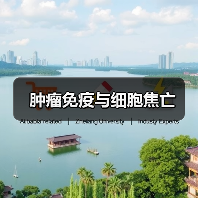 肿瘤免疫与细胞焦亡(图1) 肿瘤免疫与细胞焦亡(图1)