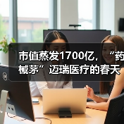 市值蒸发1700亿，“药械茅”迈瑞医疗的春天何时来？（图4）