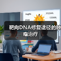 靶向DNA修复途径的肿瘤治疗（图2）