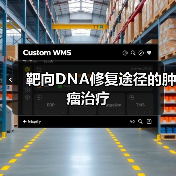 靶向DNA修复途径的肿瘤治疗（图3）