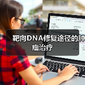 靶向DNA修复途径的肿瘤治疗（图4）