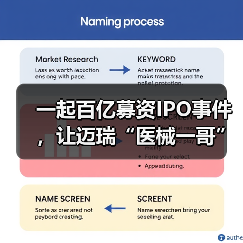 一起百亿募资IPO事件，让迈瑞“医械一哥”光环稀释了一半（图1）
