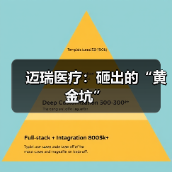 迈瑞医疗:砸出的“黄金坑”(图2) 迈瑞医疗:砸出的“黄金坑”(图2)