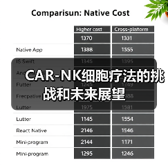 CAR-NK细胞疗法的挑战和未来展望(图4) CAR-NK细胞疗法的挑战和未来展望(图4)