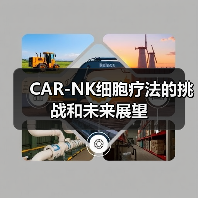 CAR-NK细胞疗法的挑战和未来展望(图2) CAR-NK细胞疗法的挑战和未来展望(图2)