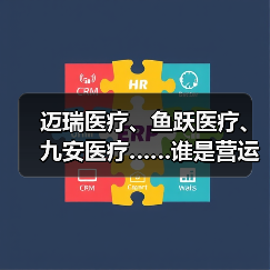 迈瑞医疗、鱼跃医疗、九安医疗……谁是营运能力最强的医疗设备企业?(图3) 迈瑞医疗、鱼跃医疗、九安医疗……谁是营运能力最强的医疗设备企业?(图3)
