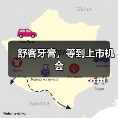 舒客牙膏,等到上市机会(图4) 舒客牙膏,等到上市机会(图4)