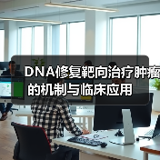 DNA修复靶向治疗肿瘤的机制与临床应用（图2）