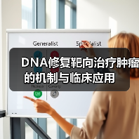 DNA修复靶向治疗肿瘤的机制与临床应用（图3）