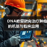 DNA修复靶向治疗肿瘤的机制与临床应用（图1）
