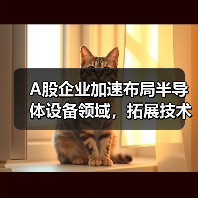 A股企业加速布局半导体设备领域，拓展技术战略（图4）