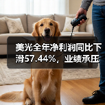 美光全年净利润同比下滑57.44%,业绩承压(图4) 美光全年净利润同比下滑57.44%,业绩承压(图4)