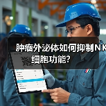 肿瘤外泌体如何抑制NK细胞功能?(图2) 肿瘤外泌体如何抑制NK细胞功能?(图2)
