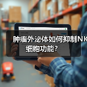 肿瘤外泌体如何抑制NK细胞功能?(图3) 肿瘤外泌体如何抑制NK细胞功能?(图3)