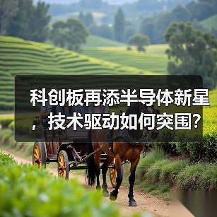 科创板再添半导体新星,技术驱动如何突围?(图1) 科创板再添半导体新星,技术驱动如何突围?(图1)