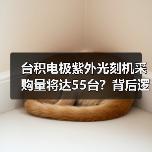 台积电极紫外光刻机采购量将达55台？背后逻辑曝光（图4）