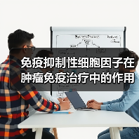免疫抑制性细胞因子在肿瘤免疫治疗中的作用（图4）