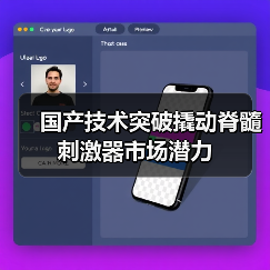 国产技术突破撬动脊髓刺激器市场潜力（图2）