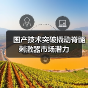 国产技术突破撬动脊髓刺激器市场潜力（图4）