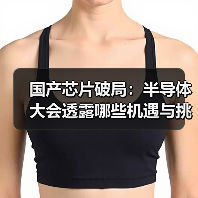国产芯片破局:半导体大会透露哪些机遇与挑战?(图4) 国产芯片破局:半导体大会透露哪些机遇与挑战?(图4)