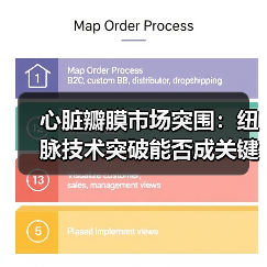 心脏瓣膜市场突围:纽脉技术突破能否成关键(图4) 心脏瓣膜市场突围:纽脉技术突破能否成关键(图4)