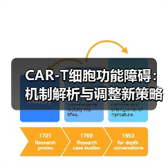 CAR-T细胞功能障碍：机制解析与调整新策略（图4）