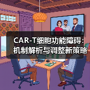 CAR-T细胞功能障碍：机制解析与调整新策略（图1）