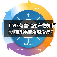 TME有害代谢产物如何影响抗肿瘤免疫治疗？（图1）