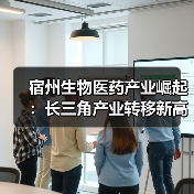 宿州生物医药产业崛起：长三角产业转移新高地（图4）