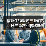 宿州生物医药产业崛起：长三角产业转移新高地（图3）