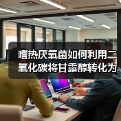 嗜热厌氧菌如何利用二氧化碳将甘露醇转化为乙酸？（图3）