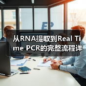 从RNA提取到Real Time PCR的完整流程详解（图3）