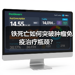 铁死亡如何突破肿瘤免疫治疗瓶颈？（图3）