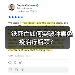 铁死亡如何突破肿瘤免疫治疗瓶颈？（图1）