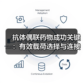抗体偶联药物成功关键:有效载荷选择与连接子设计解析(图1) 抗体偶联药物成功关键:有效载荷选择与连接子设计解析(图1)