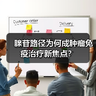 腺苷路径为何成肿瘤免疫治疗新焦点?(图2) 腺苷路径为何成肿瘤免疫治疗新焦点?(图2)